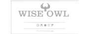 wiseowl wise owl logo